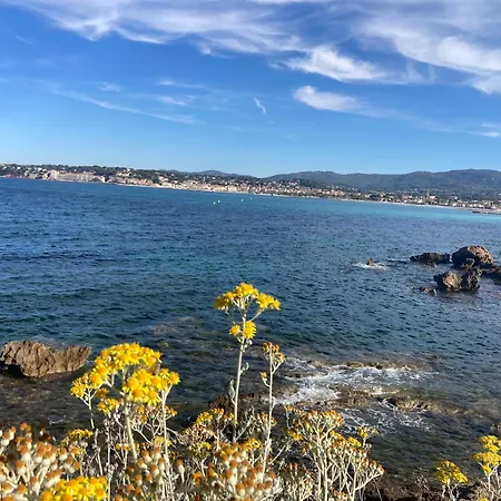 A Deux Pas De La Six-Fours-les-Plages